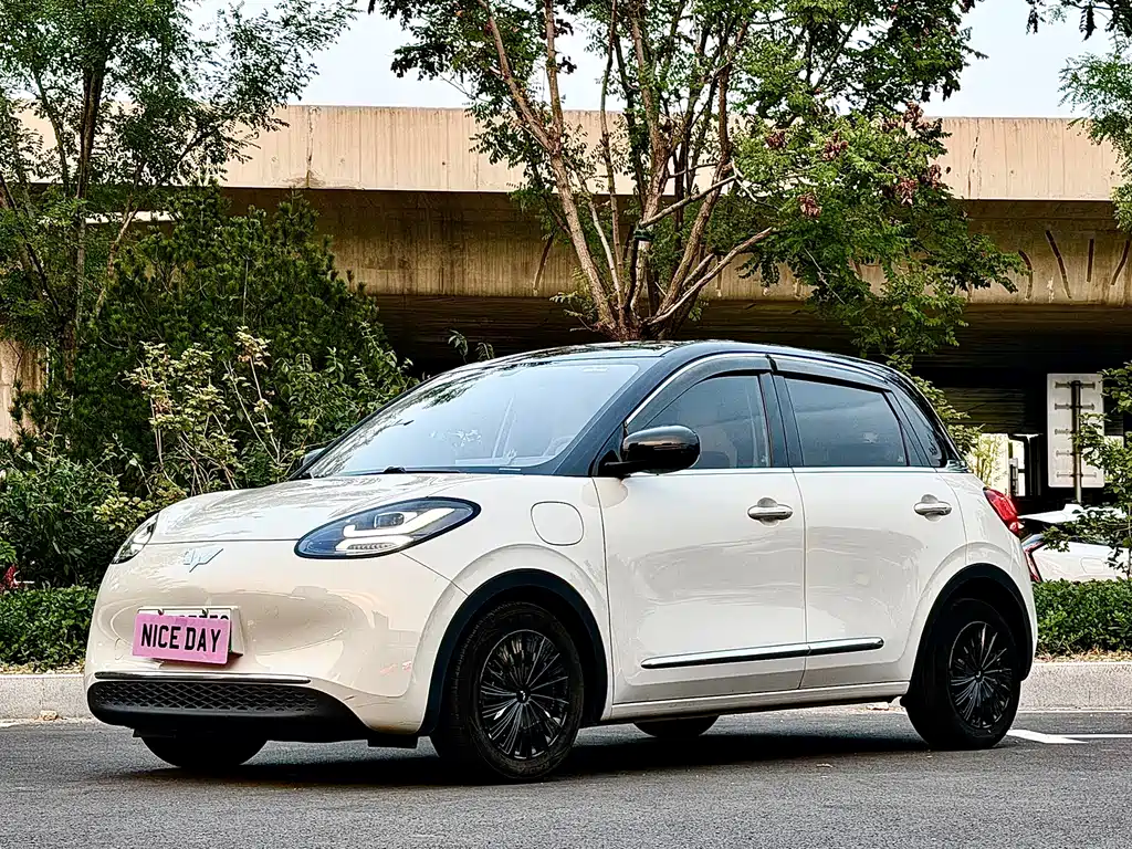 Wuling Bingo