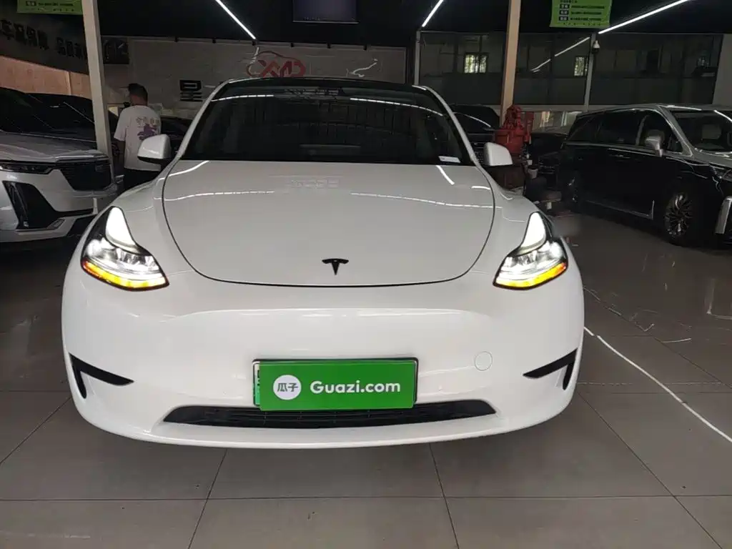 Tesla Model Y — миниатюра 3