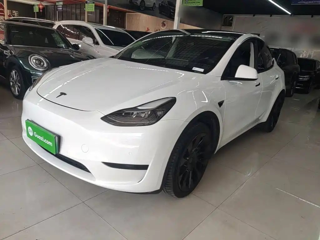 Tesla Model Y — миниатюра 2