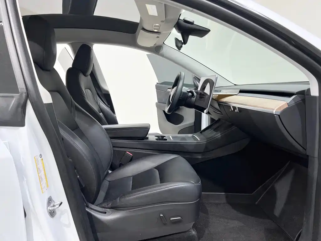 Tesla Model Y — миниатюра 9