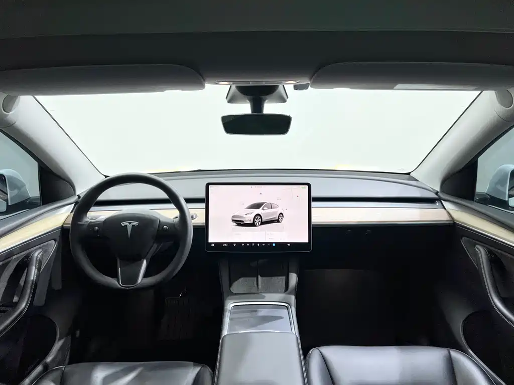Tesla Model Y — миниатюра 11