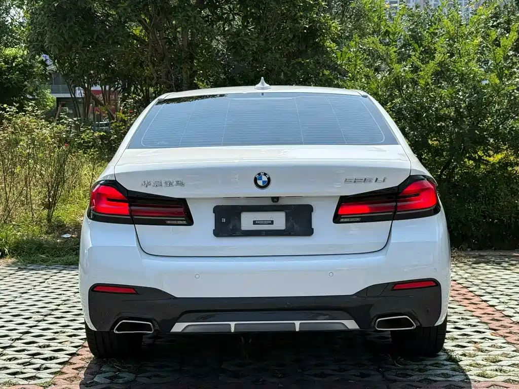 BMW 5 Series — миниатюра 8