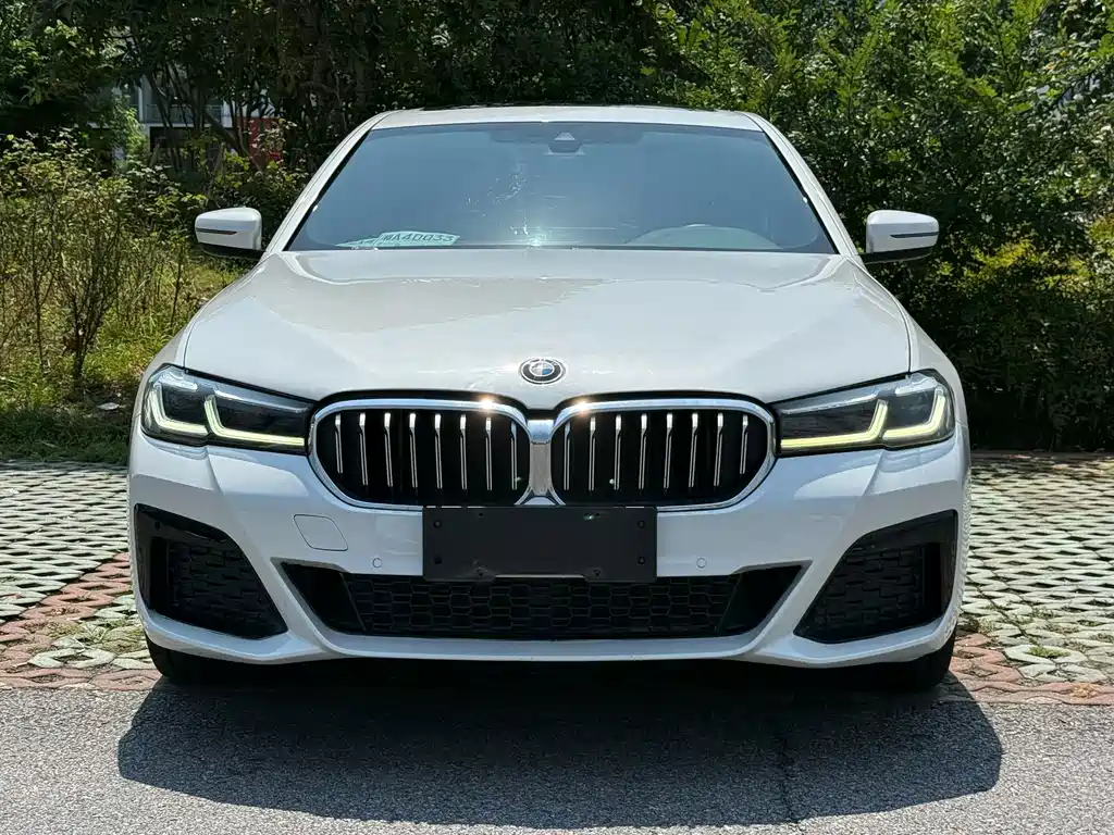 BMW 5 Series — миниатюра 2