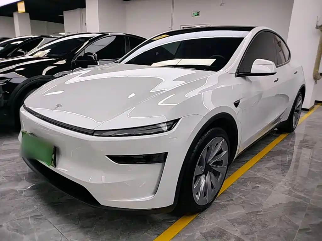 Tesla Model Y — миниатюра 2
