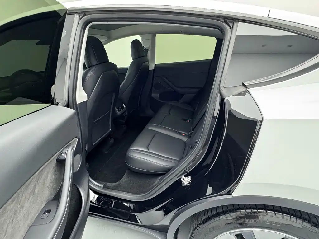 Tesla Model Y — миниатюра 13