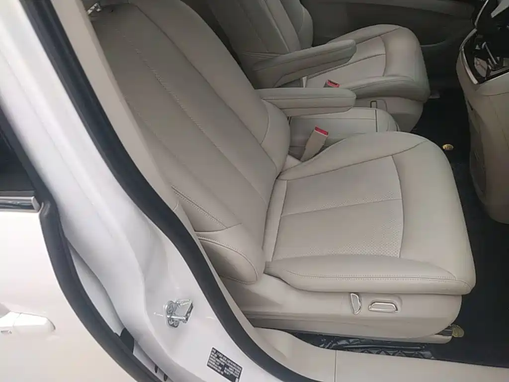 Buick GL8 — миниатюра 25