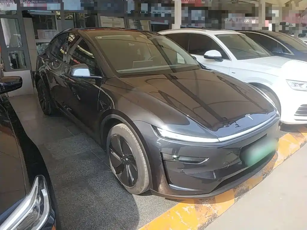 Tesla Model Y — миниатюра 4