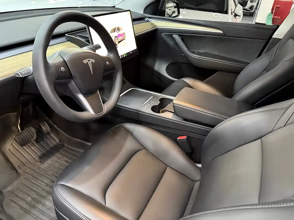 Tesla Model Y — миниатюра 4