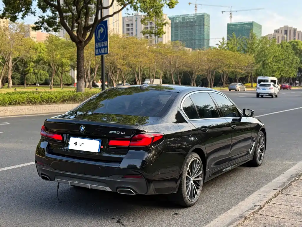 BMW 5 Series — миниатюра 4