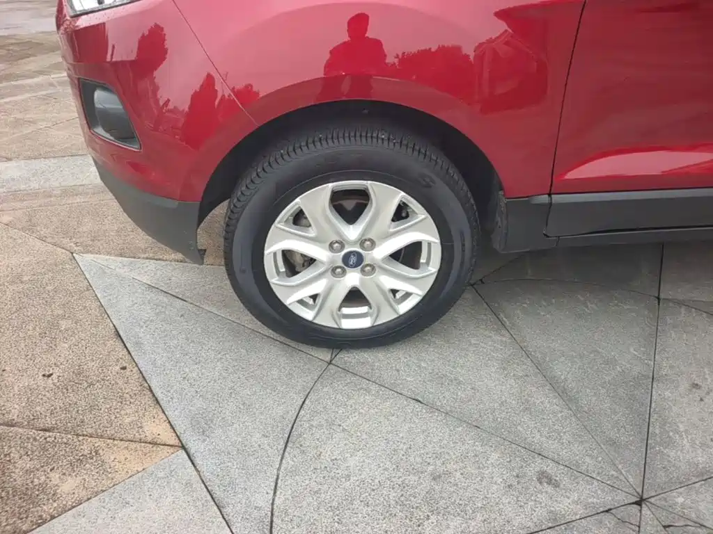 Ford Ecosport — миниатюра 23