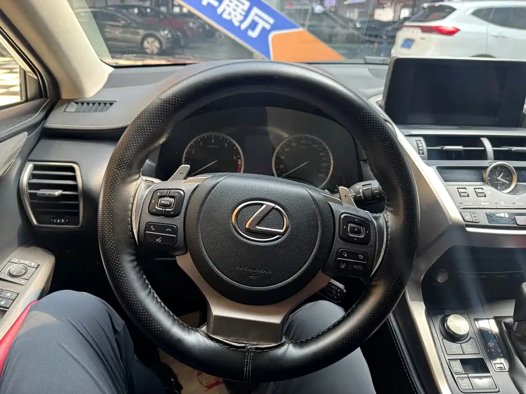 Lexus NX — миниатюра 14