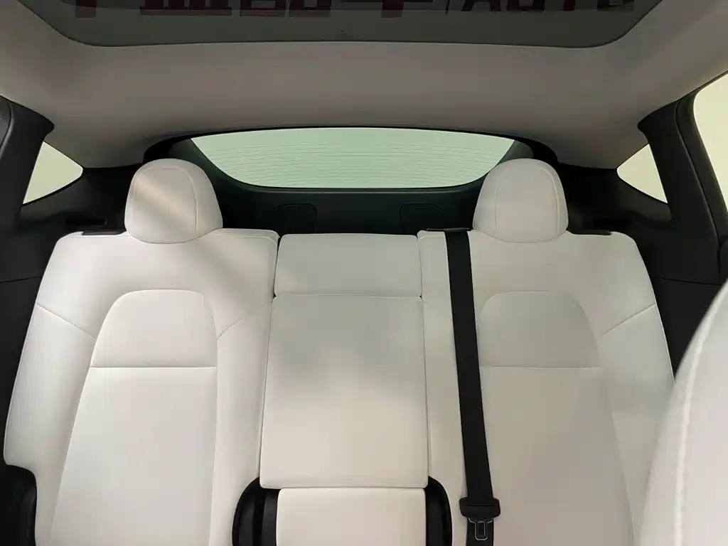 Tesla Model Y — миниатюра 9