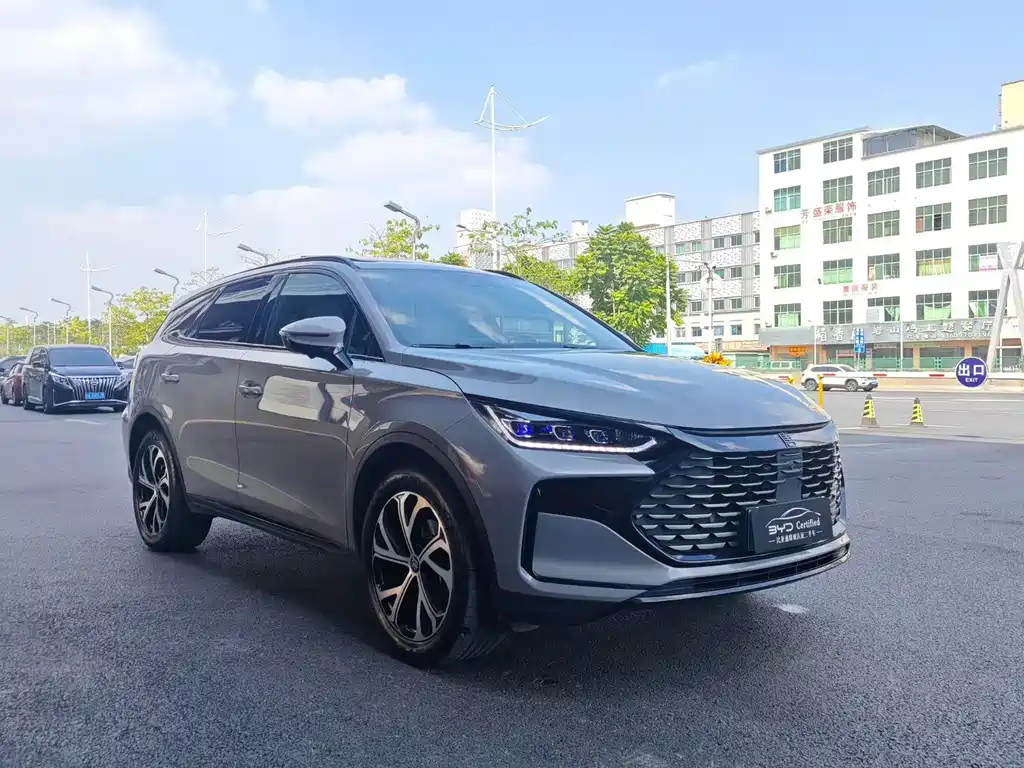 BYD Tang New Energy — миниатюра 2