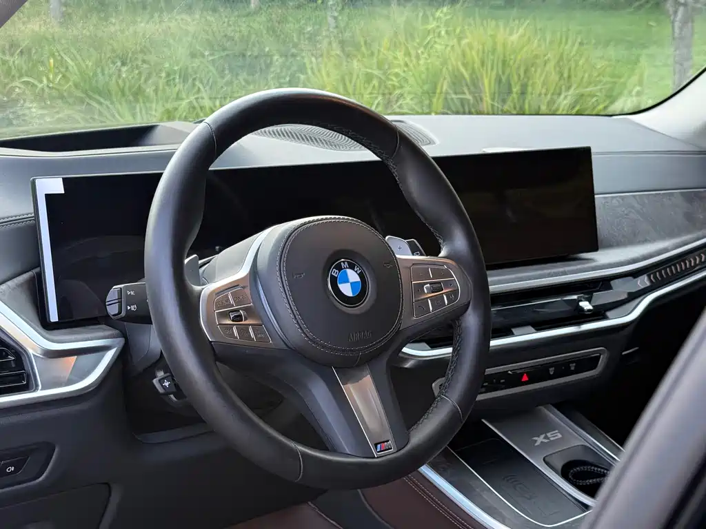 BMW X5 — миниатюра 9