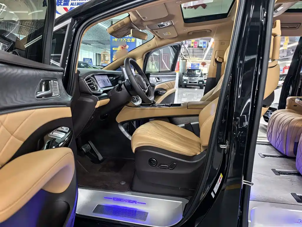 Denza Denza D9 — миниатюра 23