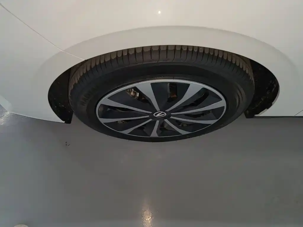 Oshan Чан Ын Ошань 520 — миниатюра 23