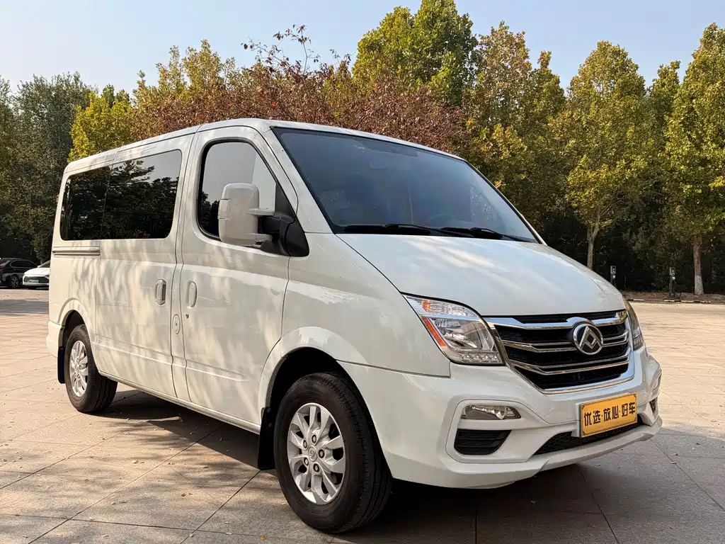 MAXUS V80 — миниатюра 8