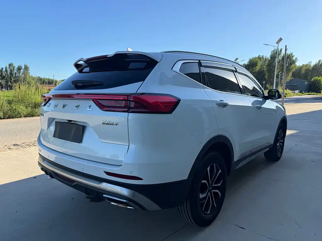 Haval H6 — миниатюра 7