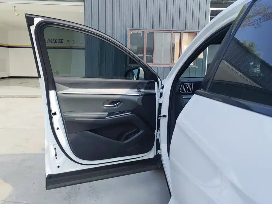 BYD Pro New Energy — миниатюра 7