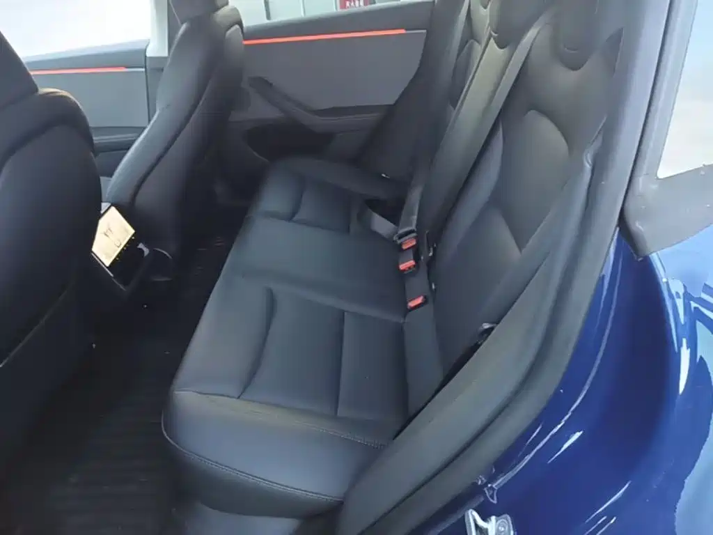 Tesla Model 3 — миниатюра 17