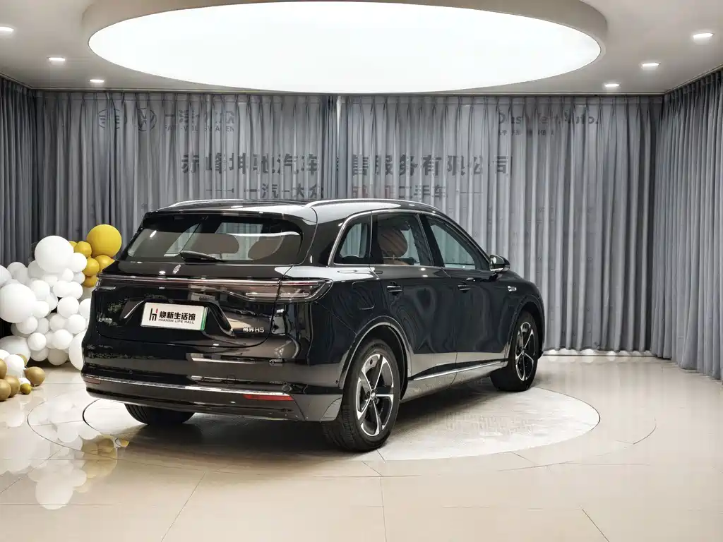 Shangjie Shangjie H5 — миниатюра 8