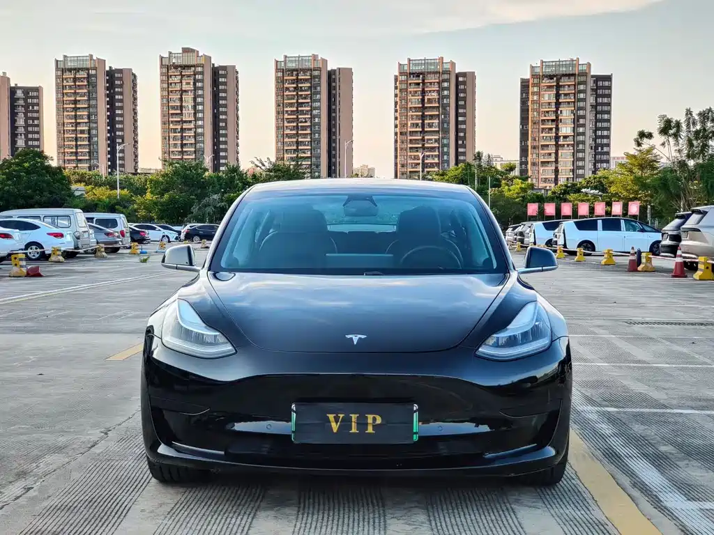 Tesla Model 3 — миниатюра 2
