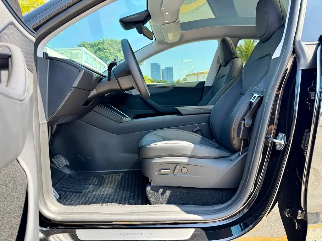Tesla Model Y — миниатюра 10