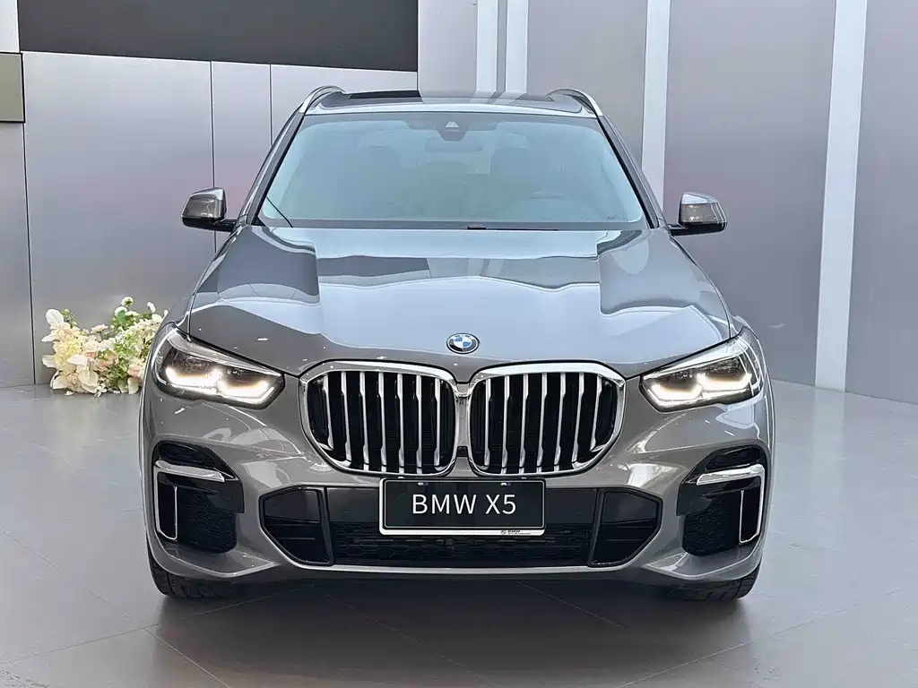 BMW X5 Facelift xDrive 30Li M Sport Package, фото 2