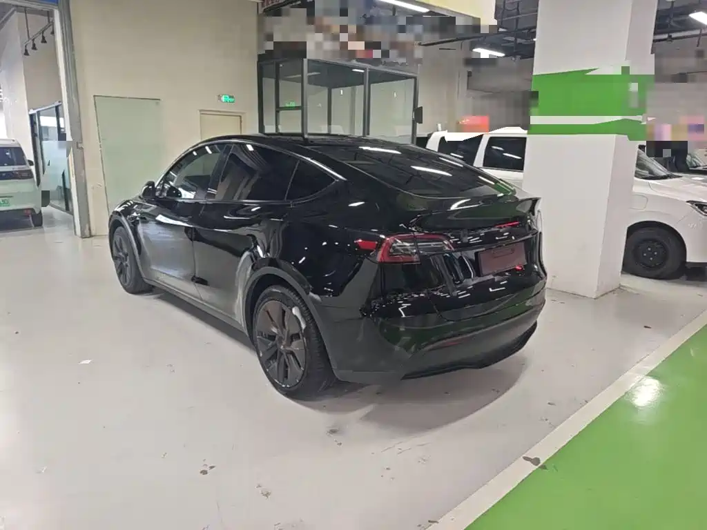 Tesla Model Y — миниатюра 5
