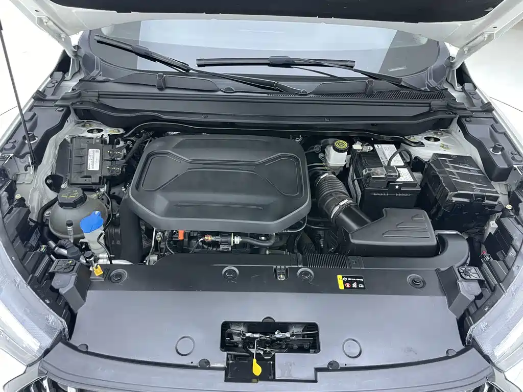 Haval Chitu — миниатюра 30