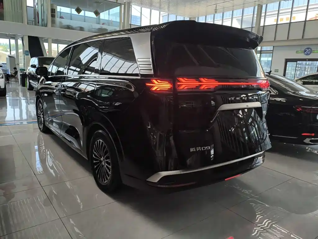Denza Denza D9 — миниатюра 5