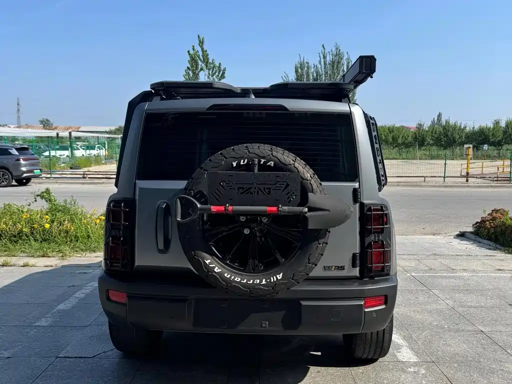Haval Menglong New Energy — миниатюра 5