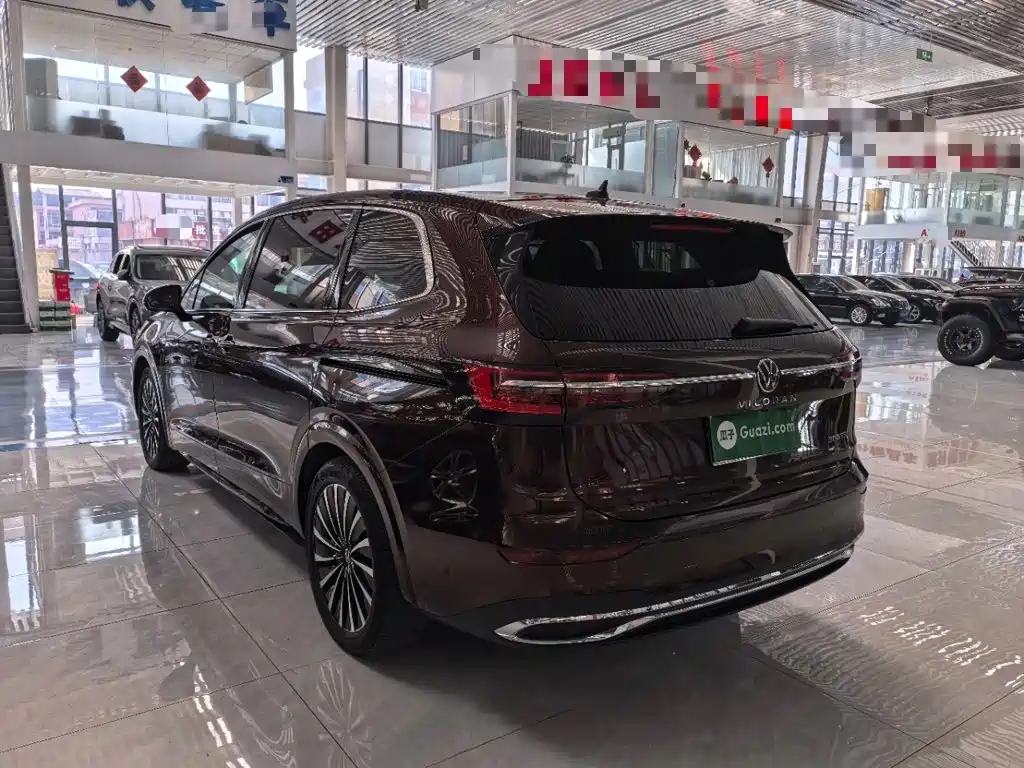 Volkswagen Viloran — миниатюра 5
