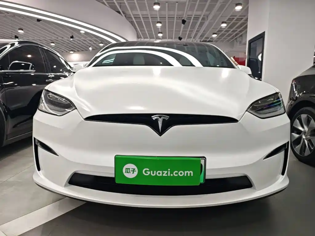 Tesla Model X — миниатюра 3