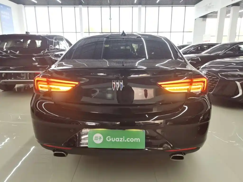 Buick Regal — миниатюра 6