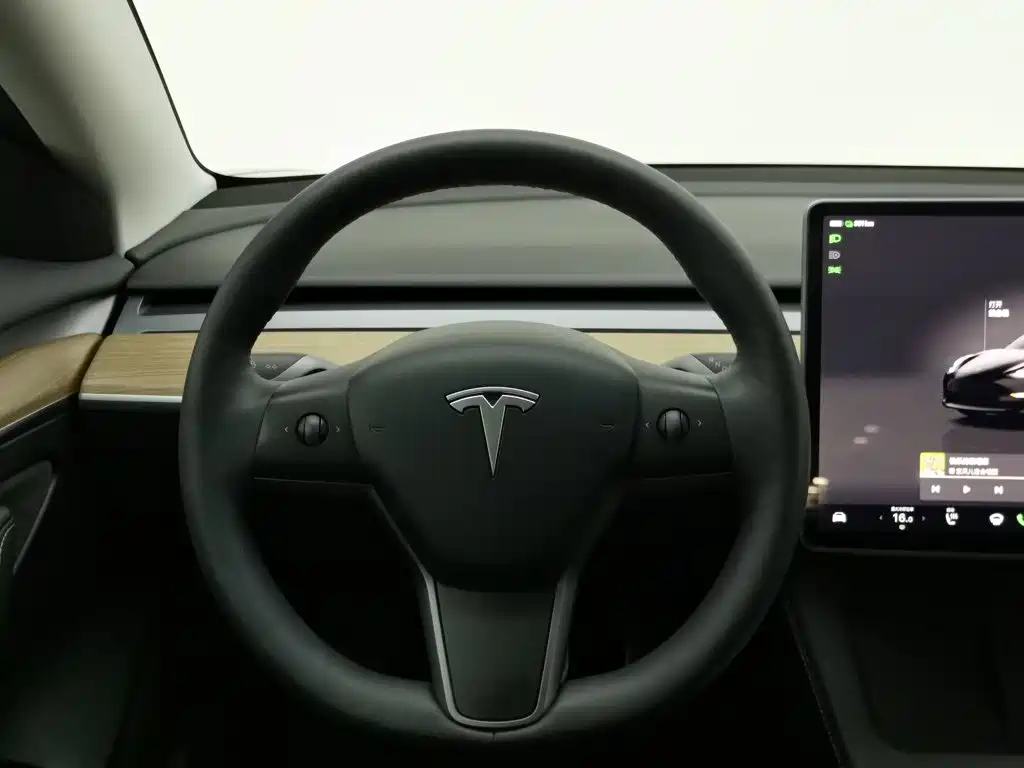 Tesla Model 3 — миниатюра 11