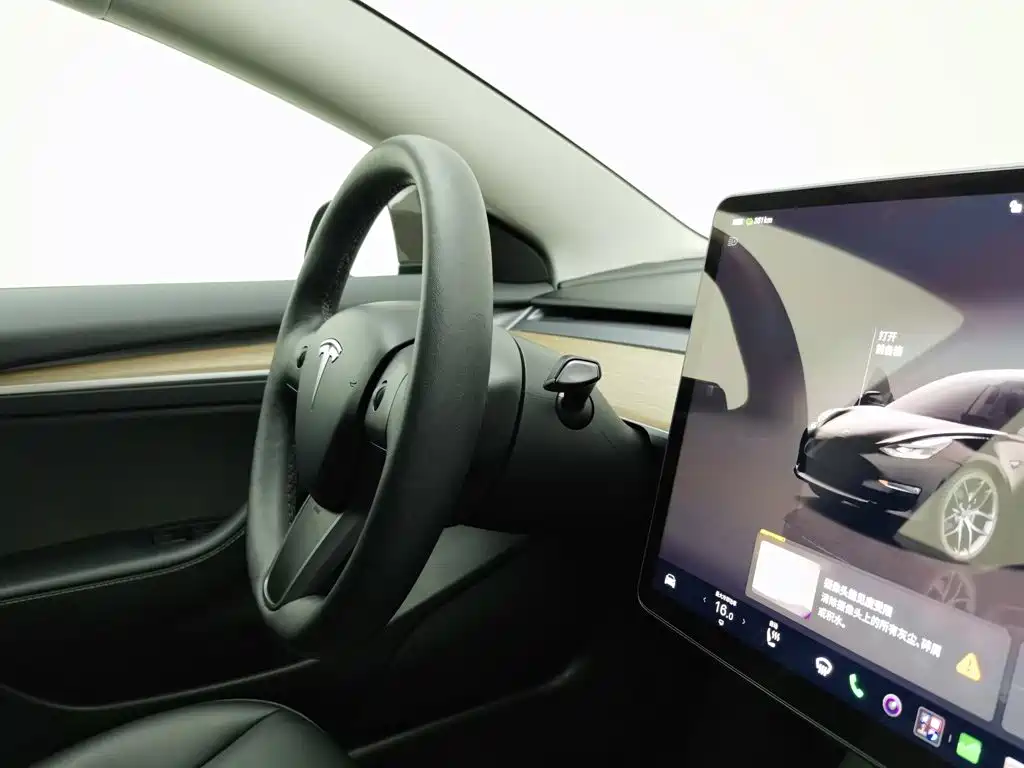 Tesla Model 3 — миниатюра 22