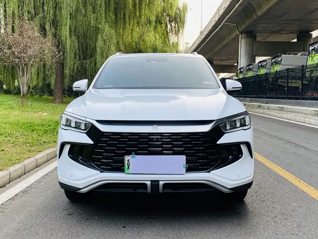 BYD Pro New Energy — миниатюра 3