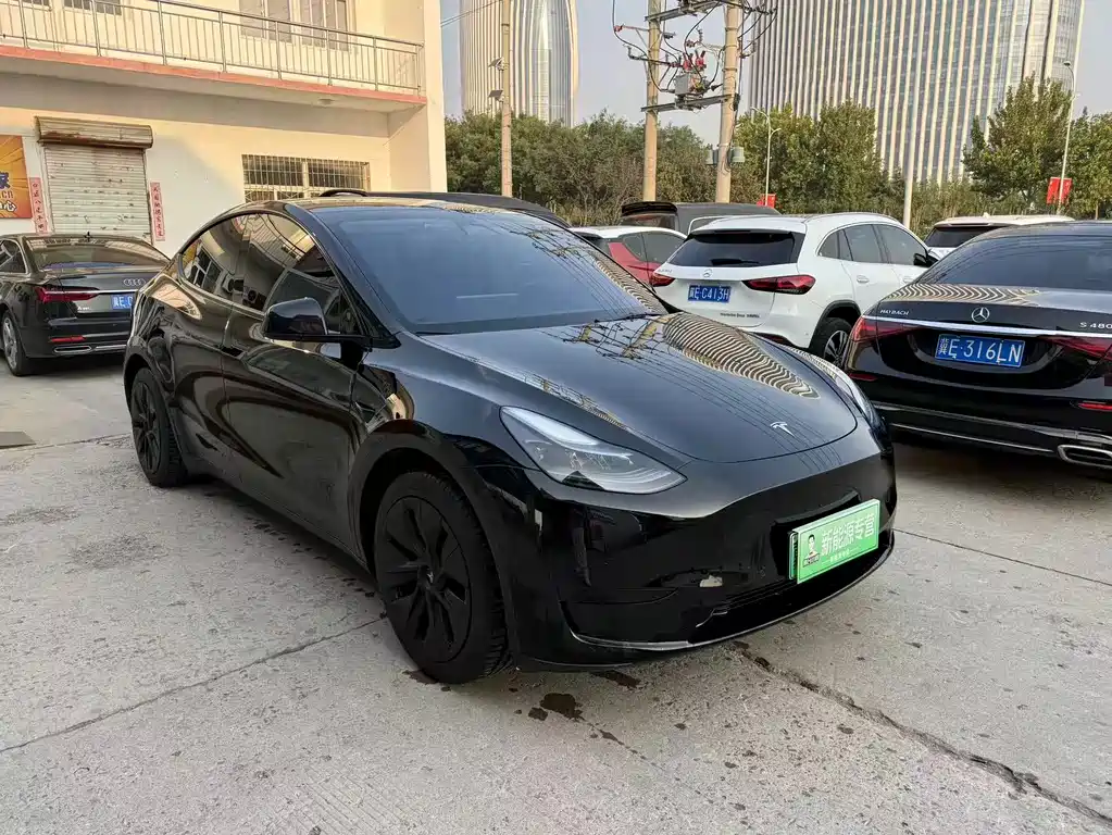 Tesla Model Y — миниатюра 3