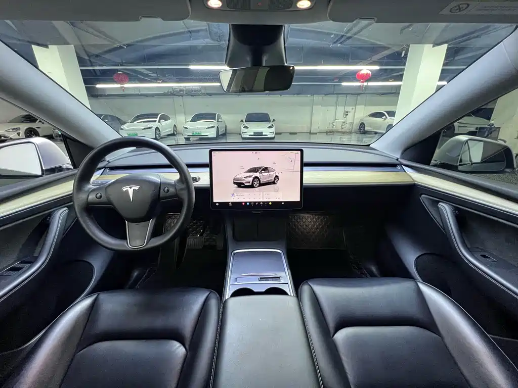 Tesla Model Y — миниатюра 6