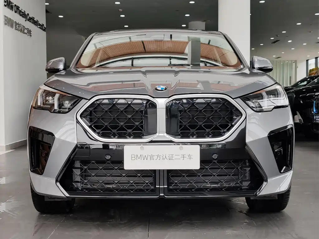 BMW X2 (Import) — миниатюра 2
