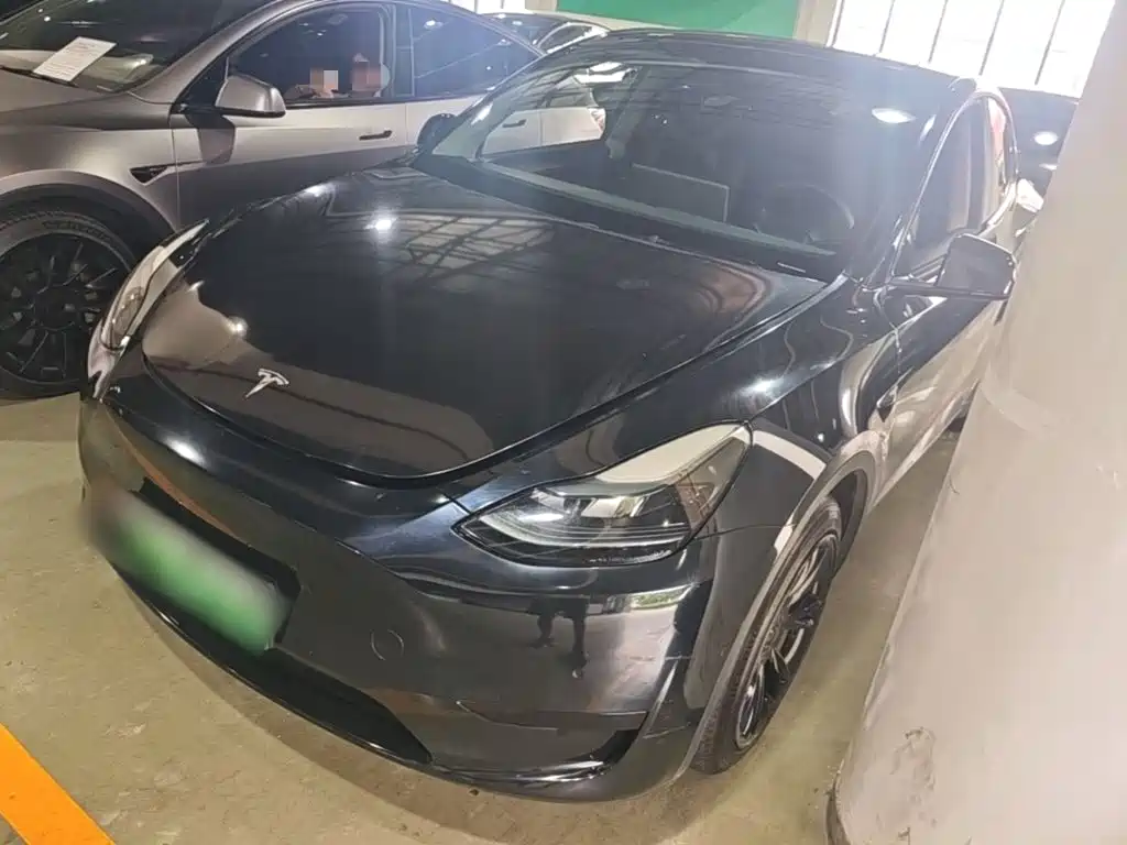 Tesla Model Y — миниатюра 2
