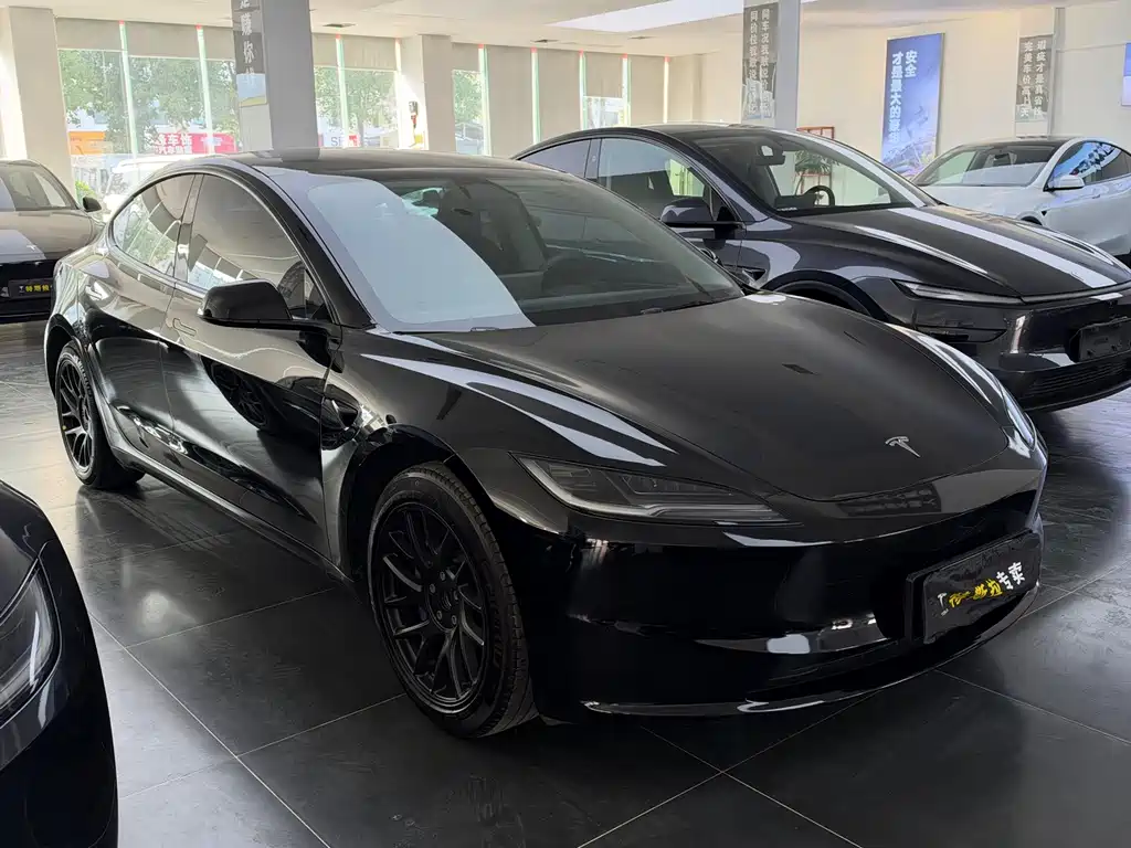 Tesla Model 3 — миниатюра 3