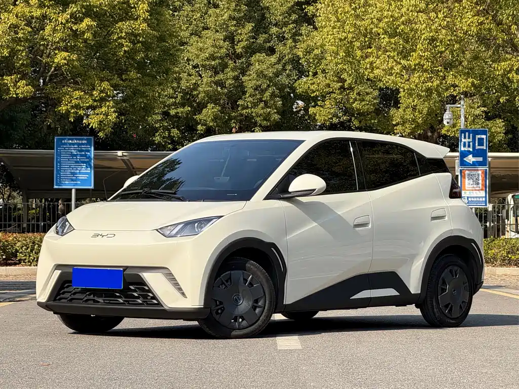 BYD Seagull