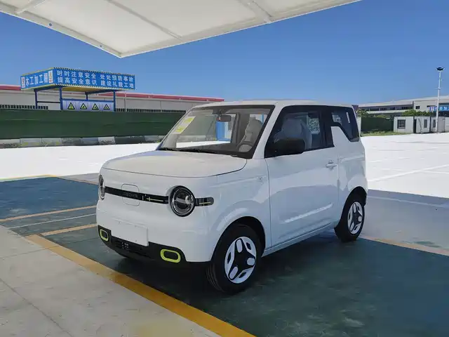 2025 Geely LC (Panda)