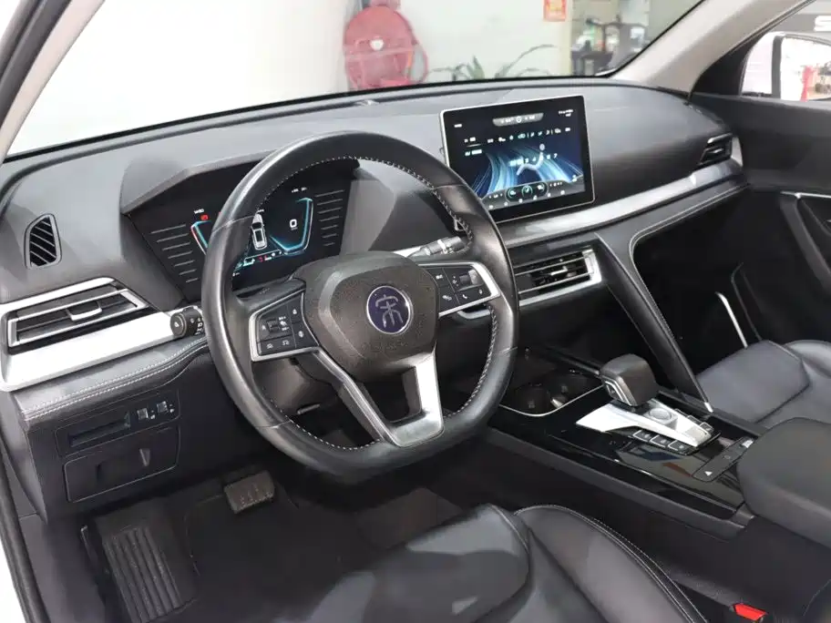 BYD Pro — миниатюра 10