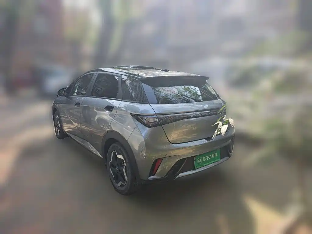 BYD Dolphin — миниатюра 4