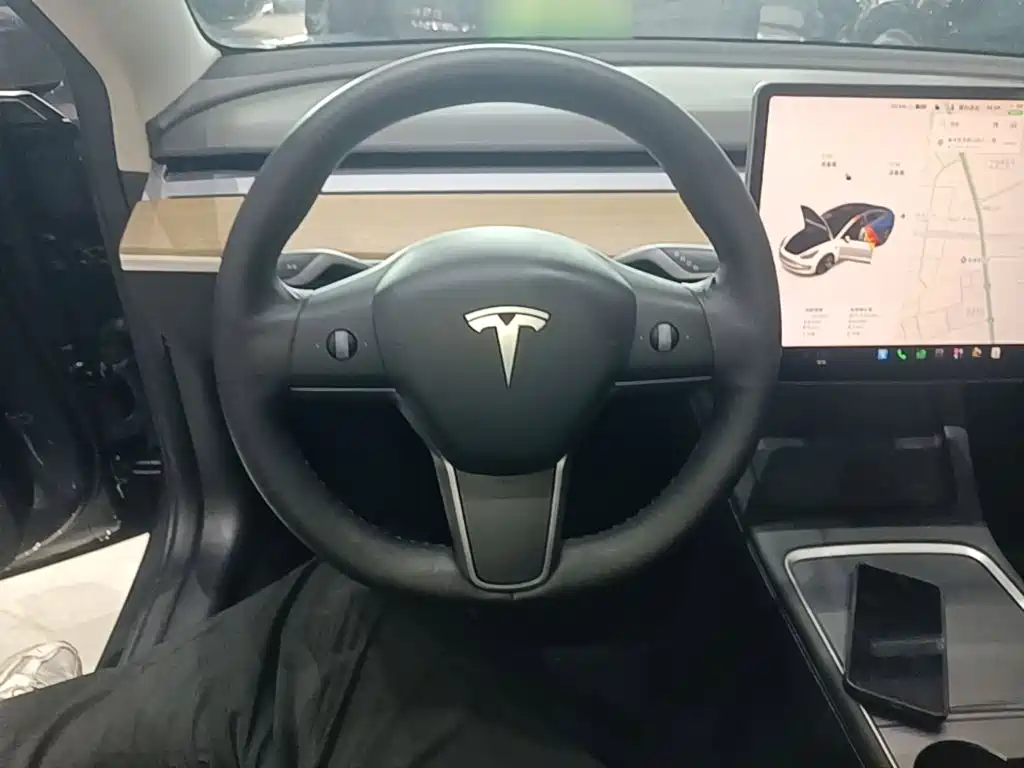 Tesla Model 3 — миниатюра 11