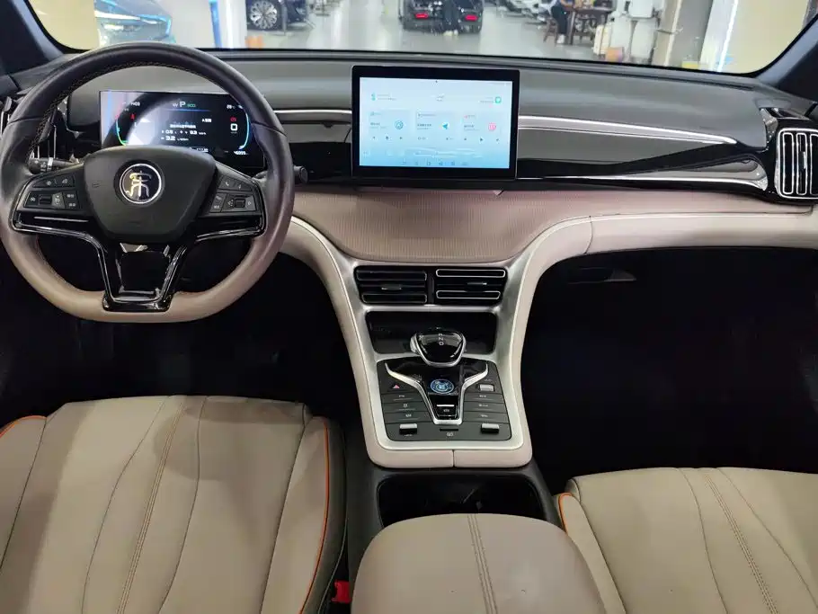 BYD Pro New Energy — миниатюра 12