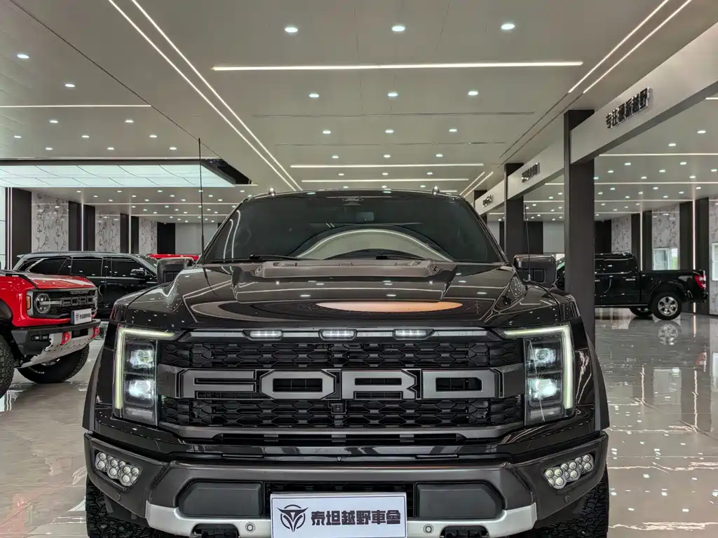 Ford F-150 Raptor — миниатюра 2
